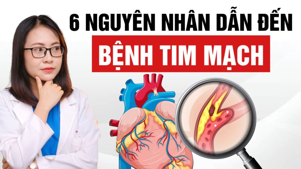 Nguyên nhân gây bệnh tim mạch Bs Huyền