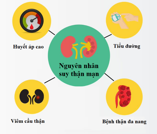 Nguyên nhân suy thận cấp